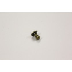  Gevrknap Almindelig - lille