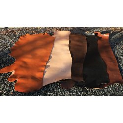 Argentinsk kernelder - side