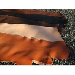 Argentinsk kernelder - side