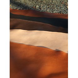 Argentinsk kernelder - side