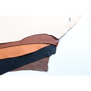 Argentinsk lder- Lille forpart