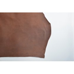 Argentinsk lder- Lille forpart