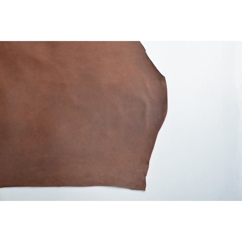 Argentinsk lder- Lille forpart