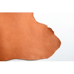 Argentinsk lder- Lille forpart