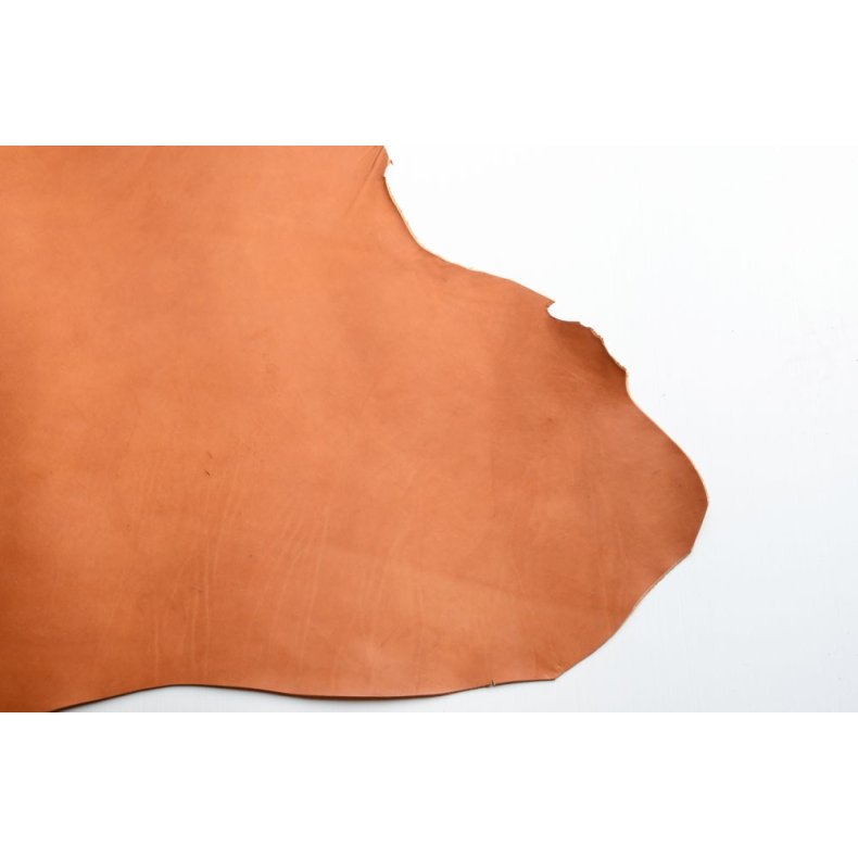 Argentinsk lder- Lille forpart