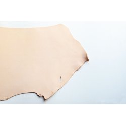 Argentinsk lder- Lille forpart