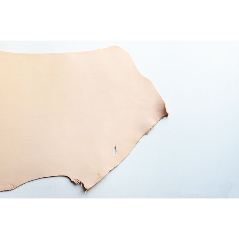 Argentinsk lder- Lille forpart