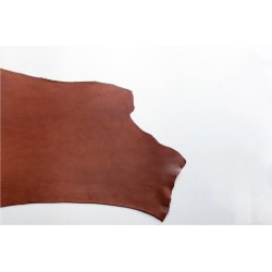 Argentinsk lder- Lille forpart