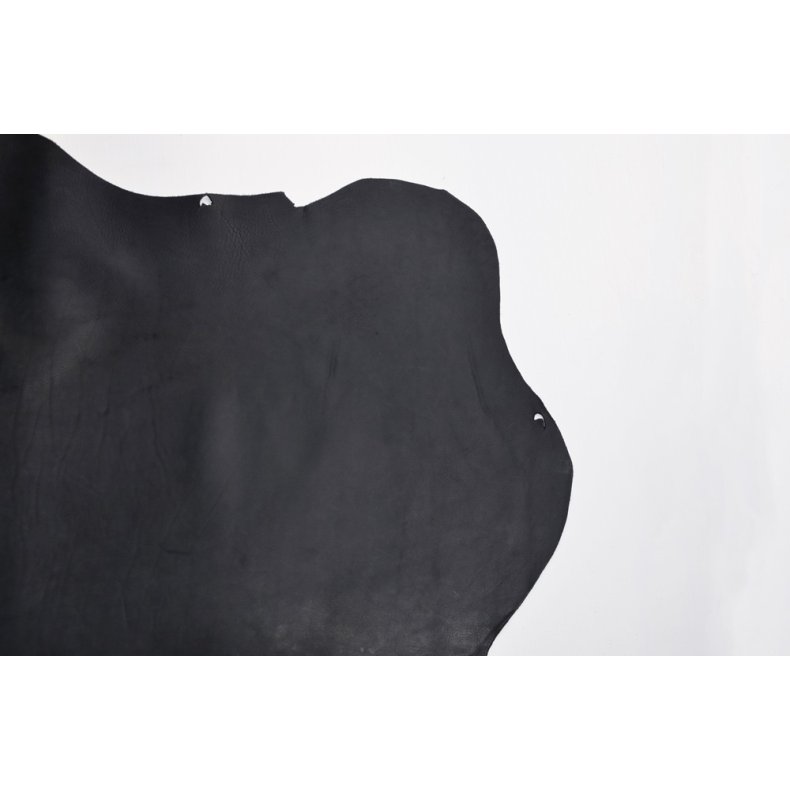 Argentinsk lder- Lille forpart