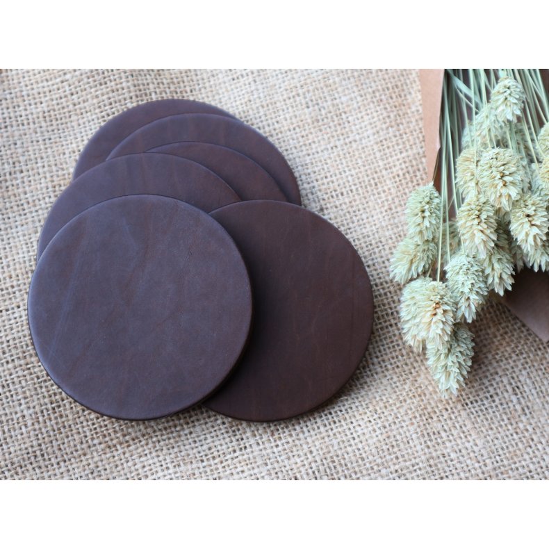 Coaster i argentinsk kernelder