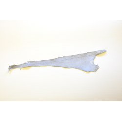 Fiskeskind - Billige