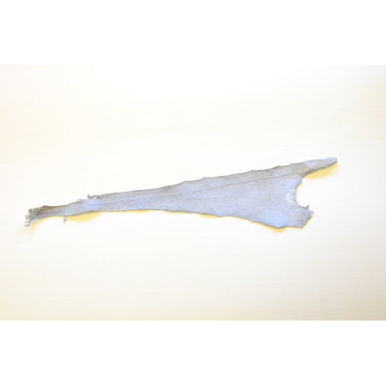 Fiskeskind - Billige