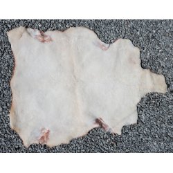 Kortklippet Lammeskind