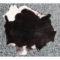 Kortklippet Lammeskind