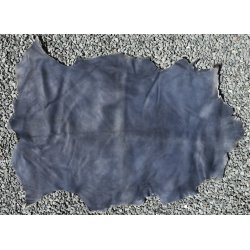 Kortklippet Lammeskind